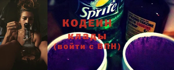 крисы Сосновка